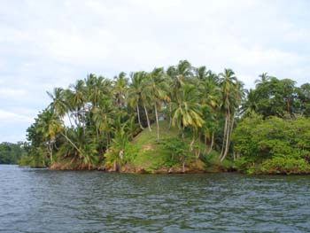 Vue du terrain de 2.5 has de Bocas del Toro, Panama